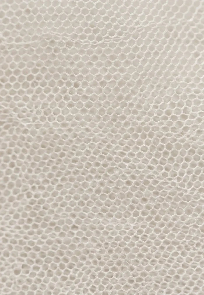 Pre-Filter Mesh